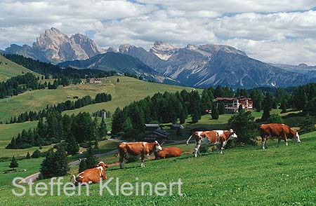 dolomiten - seiser alm 017